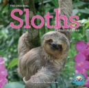 Image for Original Sloths Wall Calendar 2024 : The Ultimate Experts at Slowing Down
