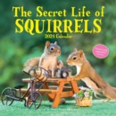 Image for Secret Life of Squirrels Wall Calendar 2024 : A Year of Wild Squirrels