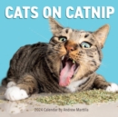 Image for Cats on Catnip Wall Calendar 2024 : A Year of Cats Living the High Life and Feeling Niiiiice