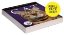 Image for Cat Page-A-Day® Gallery Calendar Refill Pack 2024