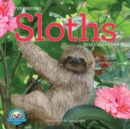 Image for Original Sloths Wall Calendar 2025 : The Ultimate Experts at Slowing Down