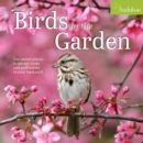 Image for Audubon Birds in the Garden Wall Calendar 2025