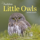 Image for Audubon Little Owls Mini Wall Calendar 2025