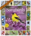 Image for Audubon Songbirds and Other Backyard Birds Picture-A-Day Wall Calendar 2025