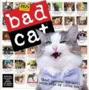 Image for Bad Cat Wall Calendar 2025