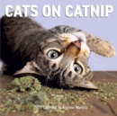 Image for Cats on Catnip Wall Calendar 2025