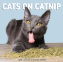 Image for Cats on Catnip Wall Calendar 2026