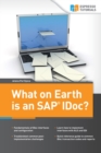 Image for What on Earth is an SAP IDoc?