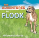 Image for The Adventures of Flook