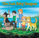 Image for Lost Baby Dragons: In the Land Called Green Sleeves