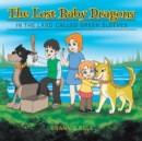 Image for The Lost Baby Dragons