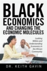 Image for Black Economics and Changing the Economic Molecules