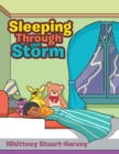 Image for Sleeping Through the Storm