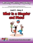 Image for Level 2 Story 4-What is a Singular and Plural?