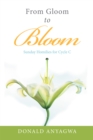 Image for From Gloom to Bloom: Sunday Homilies for Cycle C