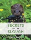 Image for Secrets of the Slough