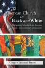 Image for American Church in Black and White: Navigating Minefields to Become God&#39;S Intercultural Community
