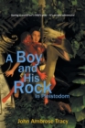Image for A Boy and His Rock : In Pleistodom