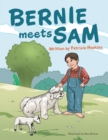 Image for Bernie Meets Sam