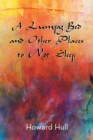 Image for Lumpy Bed and Other Places to Not Sleep