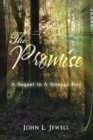 Image for The Promise : A Sequel to A Strange Boy