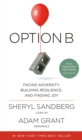 Image for Option B: Facing Adversity, Building Resilience, and Finding Joy