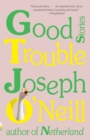 Image for Good Trouble: Stories