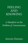 Image for Feeling and knowing  : making minds conscious