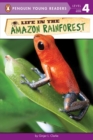 Image for Life in the Amazon Rainforest