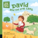 Image for David and the Lost Lamb