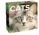 Image for Cats 2022 Day-to-Day Calendar