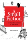 Image for Small Fiction