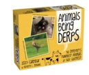 Image for Animals Being Derps 2023 Day-to-Day Calendar