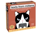 Image for Texts from Mittens the Cat 2024 Day-to-Day Calendar