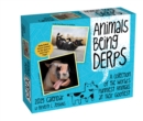 Image for Animals Being Derps 2025 Day-to-Day Calendar