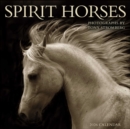 Image for Spirit Horses 2026 Wall Calendar by Tony Stromberg