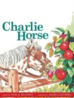 Image for Grade 2 Charlie Horse