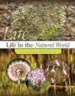 Image for Life in the Natural World: Investigating Life&#39;s Diversity