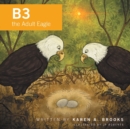 Image for B3 the Adult Eagle