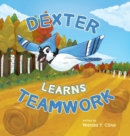 Image for Dexter Learns Teamwork