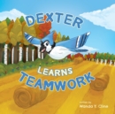 Image for Dexter Learns Teamwork