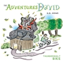 Image for The Adventures of David