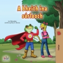 Image for Being A Superhero (Irish Book For Kids)