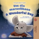 Image for A Wonderful Day (Brazilian Portuguese English Bilingual Book for Kids)