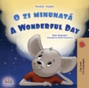 Image for A Wonderful Day (Romanian English Bilingual Children&#39;s Book)