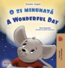 Image for A Wonderful Day (Romanian English Bilingual Children&#39;s Book)