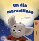 Image for A Wonderful Day (Spanish Children&#39;s Book)