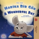 Image for A Wonderful Day (Turkish English Bilingual Book for Kids)