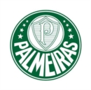 Image for Palmeiras - A História.