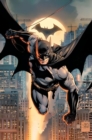 Image for Os Segredos de Batman.